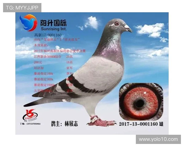 全面解析AG国际地址登录入口操作流程，轻松掌握登录技巧实现流畅游戏体验