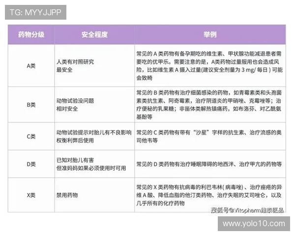 成为AG真人国际厅代理的详细指南，帮助你快速掌握行业运营技巧